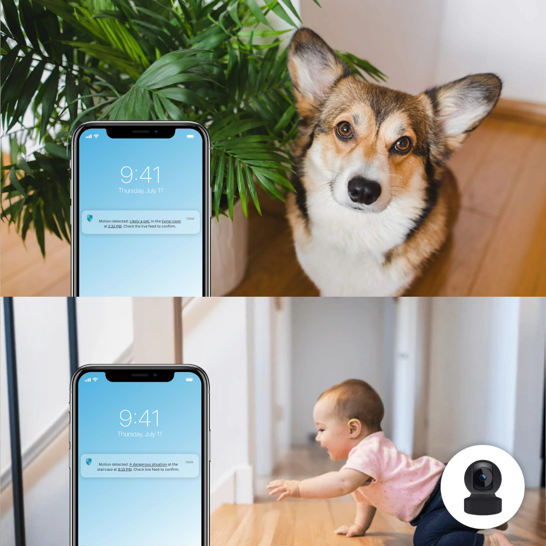 Paketti - RoomWatch™ + SnapStick™